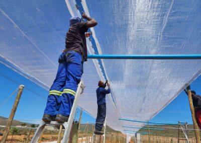 Agrinette Shadenet Installation | Agrinette.co.za