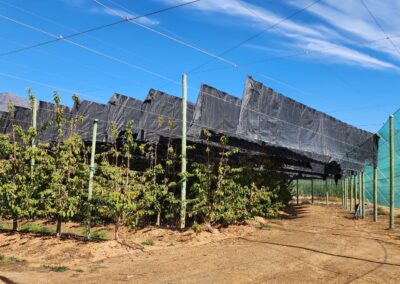 Agrinette Vertical Shadenet | Agrinette.co.za
